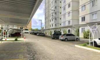 Imagem 6: ENCANTOS DO BOSQUE : Jabotiana -