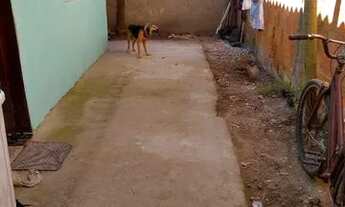 Imagem 5: Vendo casa Casa com 2 dormitórios