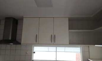 Imagem 7: Casa para aluguel na alameda das samambaias Patamres