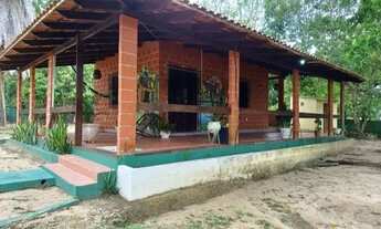 Imagem 2: Chácara km7 iranduba/januari