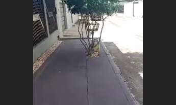 Imagem 6: Aluguel casa Casa com 2 dormitórios