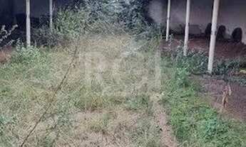 Imagem 3: Terreno para Venda - 0m², 0 dormitórios, Bom Jesus