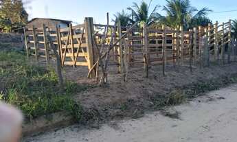 Imagem 6: Vendo maravilhoso sítio em alagoinhas