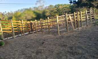 Imagem 3: Vendo maravilhoso sítio em alagoinhas