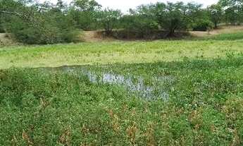 Imagem 2: Excelente oportunidade de comprar uma fazenda às margens do rio Jacuipe com 136t