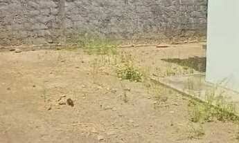 Imagem 6: Casa Parque dos Sonhos (Angelim