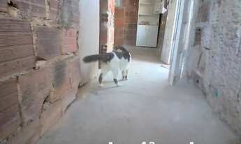 Imagem 6: Vende-se casa prox a praia, em Pernambuco