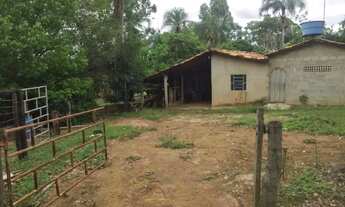 Imagem 4: Chácara 7 Alqueires Vianópolis GO