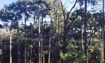 Imagem 6: Terreno para Venda em Nova Petrópolis, Linha Imperial