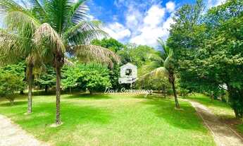 Imagem 2: Terreno Maria Paula