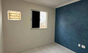 Imagem 7: PALMEIRAS 3 | MARIO ANDREAZZA