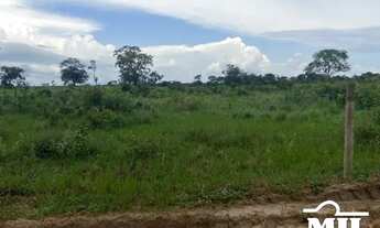 Imagem 4: Fazenda a 150 km Palmas. . 380 Alq. (1.839 Há). Vale do Araguaia