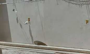 Imagem 4: Troca ou vendo avista