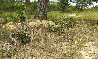 Imagem 5: Vendo ágio de lote