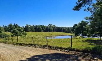 Imagem 5: Sitio - Bairro Saiqui