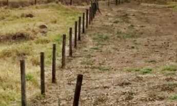 Imagem 2: Chácara 22mil m2 dentro de Anápolis só R$ 1.500.000