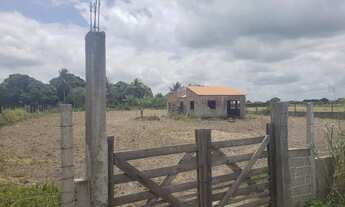 Imagem: Casa 84m2 em terreno murado de 3.600m2 com