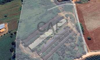 Imagem 3: SÍTIO PRODUTIVO À VENDA GRANJA DE FRANGO INTEGRADA A FRIGORÍFICO!