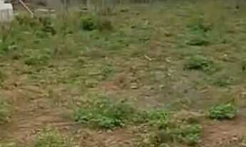 Imagem 4: Terreno maravilhoso Coité!