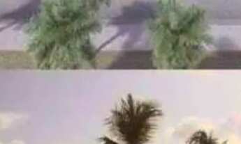 Imagem: Salinas Park resort Dezembro