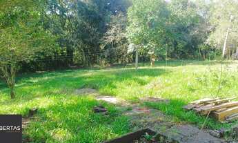 Imagem 7: Sítio em Fiuza Fazenda / sítio com venda por R$450.000