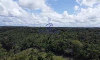 Imagem 5: Fazenda, Centro, Esplanada - R$ 300 mil, Cod: 68666