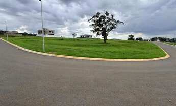 Imagem 4: PLATEAU DOR UNIQUE