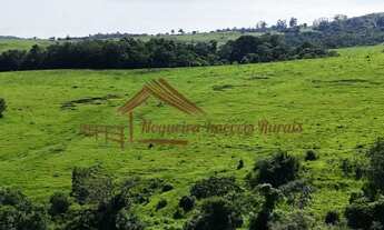 Imagem 3: Sítio com 22 alqueires para pecuária na região de Porangaba-SP