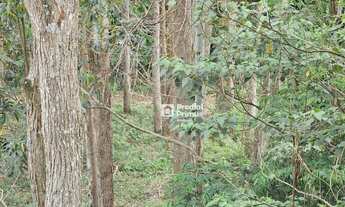 Imagem 3: Terreno à venda, 14340 m² por R$ 450.000,00 - Riograndina - Nova Friburgo/RJ