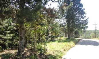 Imagem 3: Terreno em condominio com haras. Km 39 da Raposo. 1250 m2. Troco por Apto em São Paulo