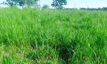 Imagem 4: Vendo propriedade rural