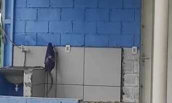 Imagem 3: CHÁCARA COMPLETA À VENDA - PORTEIRA FECHADA - Agrovila das Palmeiras