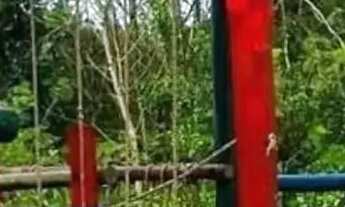 Imagem 7: Imóvel para venda tem 50 metros quadrados com 2 quartos em Atlântica - Rio das Ostras - RJ