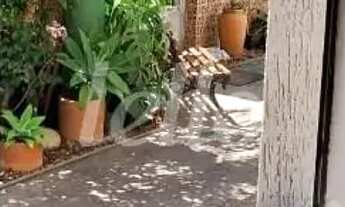 Imagem 4: Casa 3 quartos à venda no(a) Tatuapé