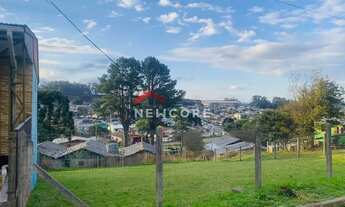 Imagem 7: Lote em Urquiza Costa - Rincão - São Francisco de Paula/RS