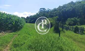 Imagem 2: Fazenda 34 Alqueires Pecuária e Agricultura à venda em Paraibuna/SP