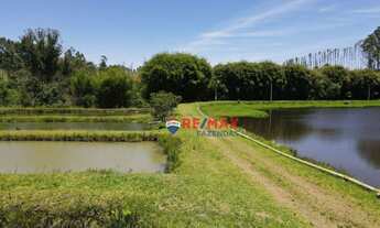 Imagem 5: Fazenda Alvorada em Andradas MG