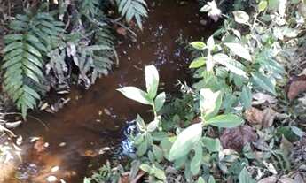 Imagem 3: Sítio 08 Hectares Arantina - Sítio da Varzea 30 hectares