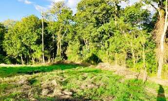 Imagem 5: Excelente terreno para sítio