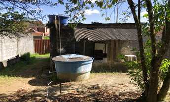 Imagem 5: Terreno parque verde 2