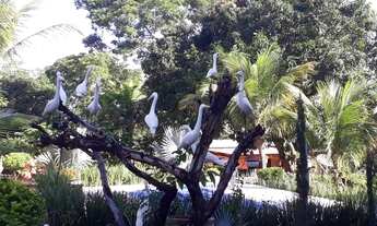 Imagem 6: Chácara venda ou troca