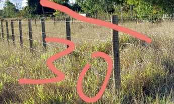 Imagem 2: Terreno após o alfavile 15x30