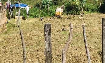 Imagem 4: Terreno na ilha Terreno / lote com venda por R$50.000