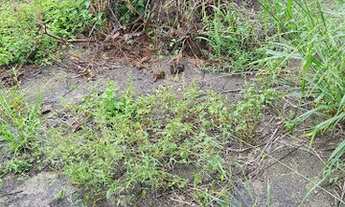 Imagem 5: Terreno à venda, 360 m² por R$ 110.000,00 - Itapeba - Maricá/RJ