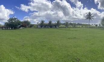 Imagem 3: Fazenda Pau Ferro - Amargosa BA