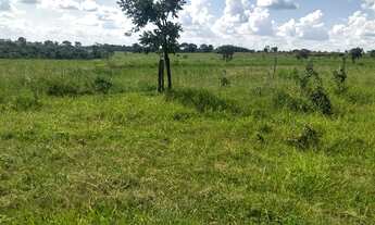 Imagem 2: Fazenda plana Fazenda / sítio com venda por R$5.250.000