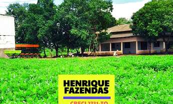 Imagem 7: Fazenda a venda na região de Miranorte
