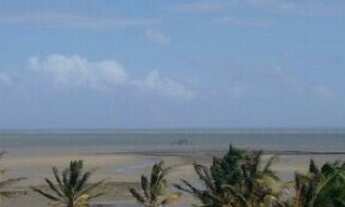 Imagem: Vende-se sítio em Panaquatira