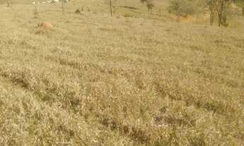 Imagem 4: Grande Oportunidade de morar em um ótimo terreno