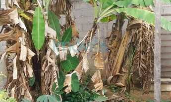 Imagem 6: Terreno à venda - 250 m² - Novo Horizonte - Taubaté/SP